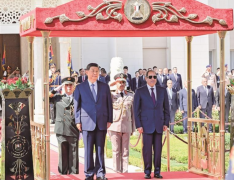 习近平同埃及总统塞西会谈